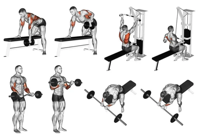 ganhar massa muscular