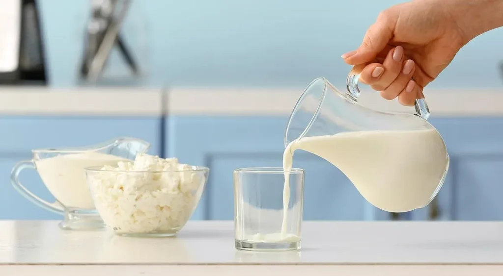 Iogurte Natural Zero Lactose