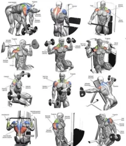 Programa de treino academia masculino 2024