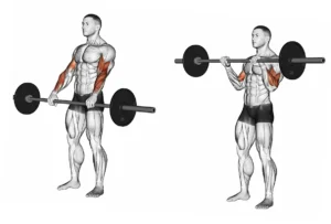 benefícios da musculação 2º mês hipertrofia muscular