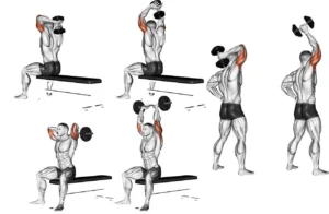 8 melhores exercícios: no treino de costas