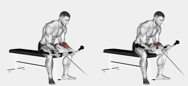 exercicio para antebraco 