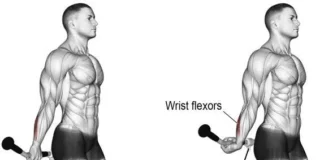 Exercícios para antebraço os 5 melhores: como fortalecer a pegada exercícios para antebraço