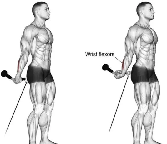 5 Melhores Exercícios para Antebraço e Fortalecer a Pegada exercícios para antebraço