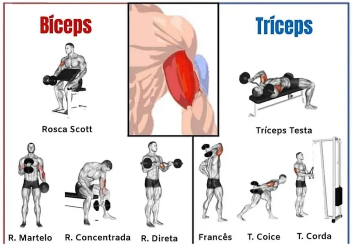 tríceps e bíceps