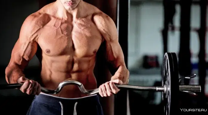 Ganhar 5kg de Massa Muscular
