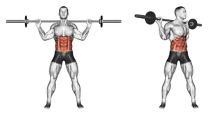 Musculação para emagrecer: Os Benefícios e Dicas Essenciais