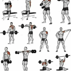 Treino de Ombro Completo 5 Erros Comuns que Você Deve Evitar
