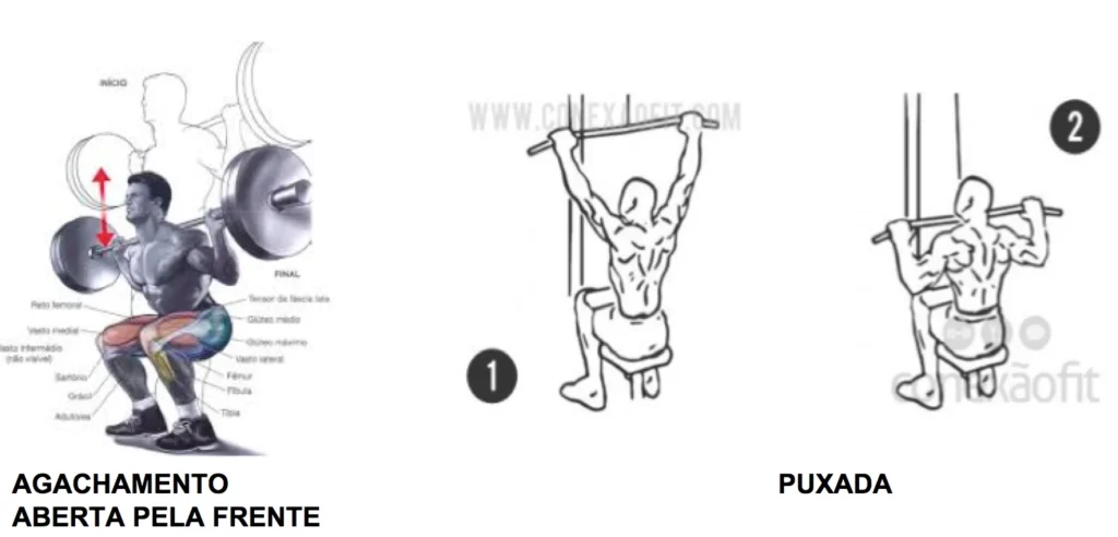 Exercícios Compostos para Hipertrofia