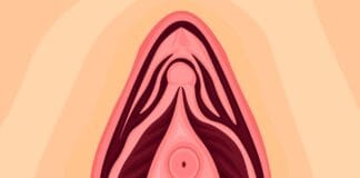 A ninfoplastia afeta a sensibilidade do clitóris?