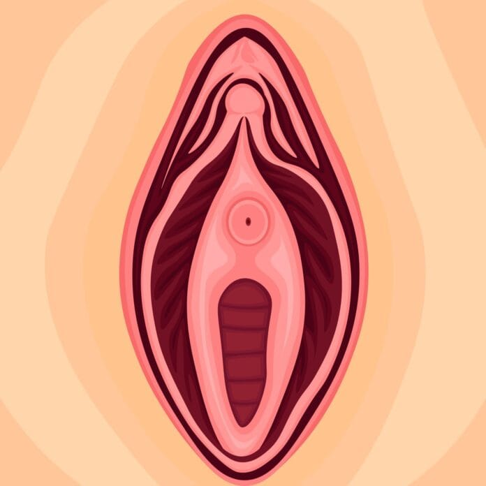 A-ninfoplastia-afeta-a-sensibilidade-do-clitoris.jpeg