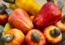 Suco de caju: aprenda a receita com essa fruta do Brasil